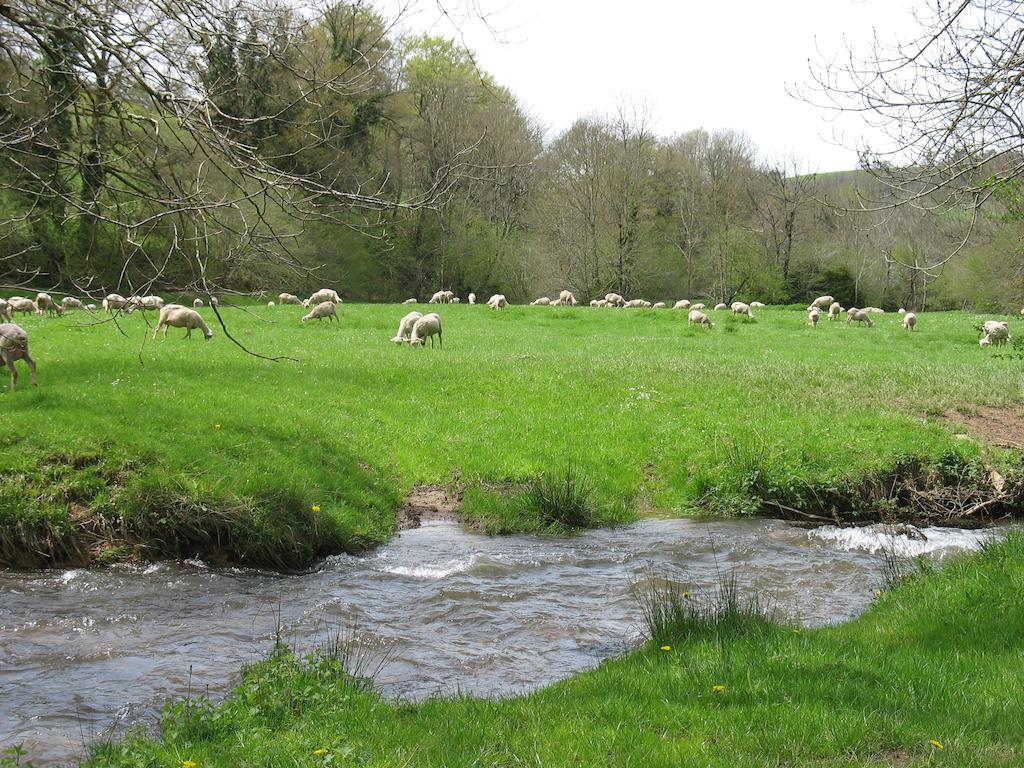 Le Moulin Du Barthas Montredon-Labessonnié Exterior foto